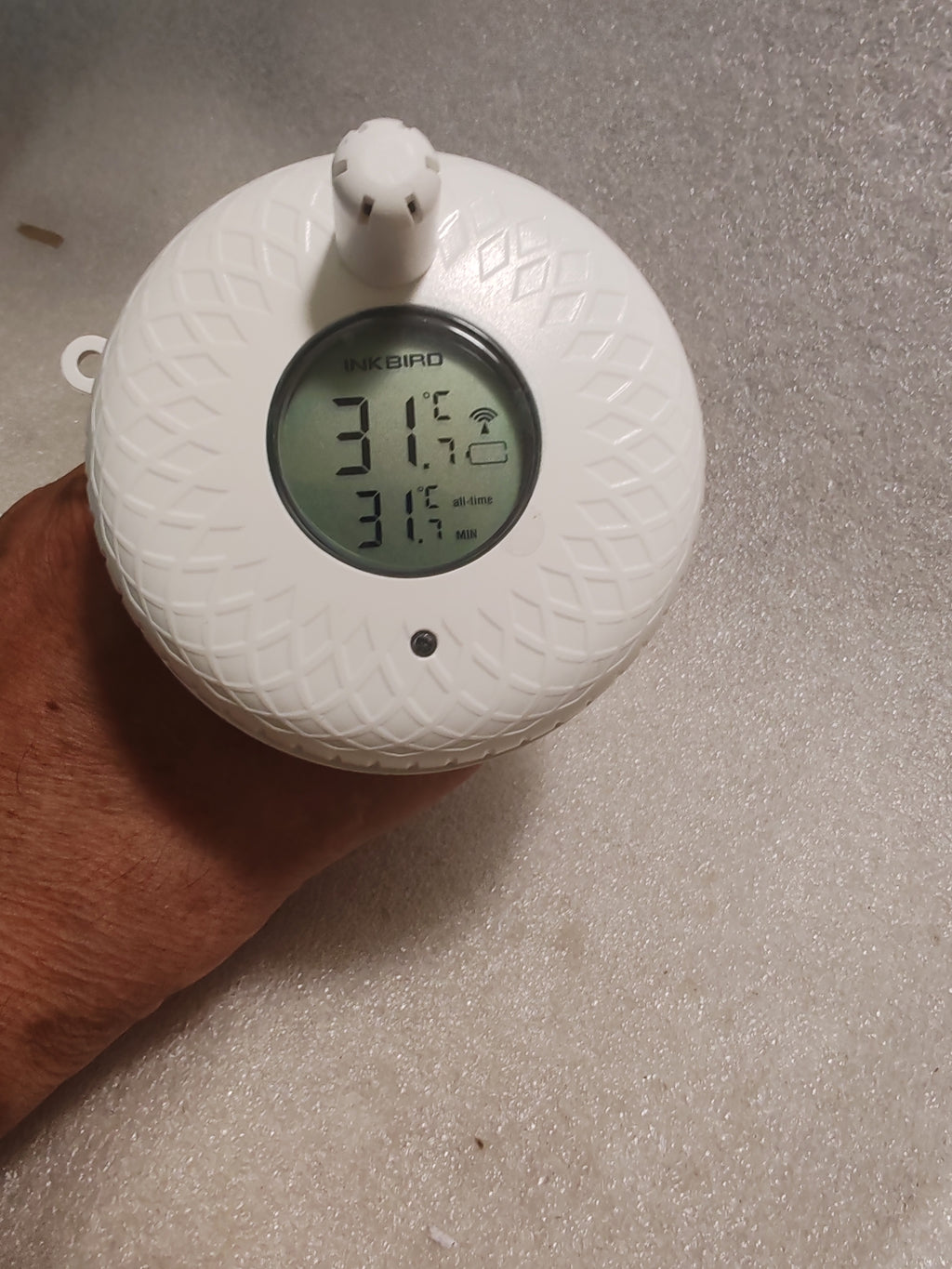 Termometro Piscina Wireless Digitale INKBIRD IBS-P01R - Galleggiante Smart