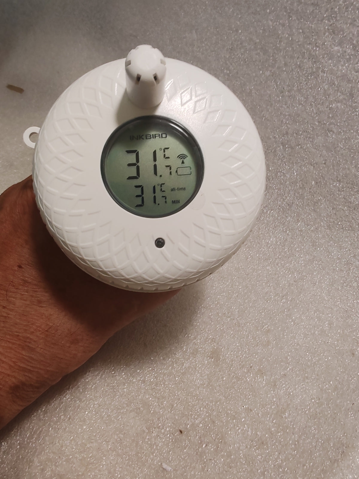 Termometro Piscina Wireless Digitale INKBIRD IBS-P01R - Galleggiante Smart